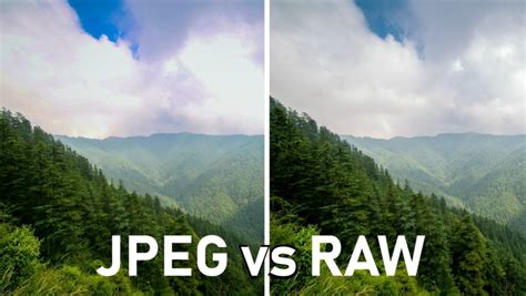 How do I view a RAW file? - Improve Photography