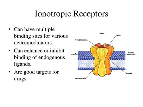 How do Ionotropic and Metabotropic receptors work?