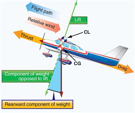 How do aerodynamics affect flight