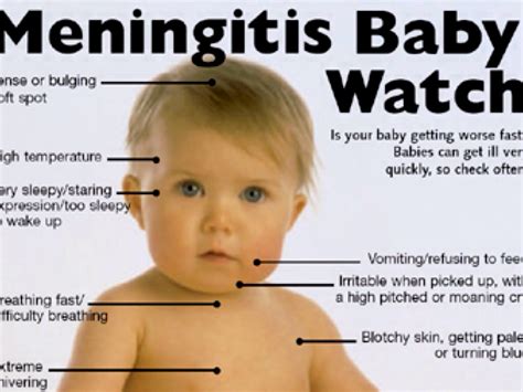 Among adults 60 years of age and older, the more common signs and symptoms of hydrocephalus are: Loss of bladder control or a frequent urge to urinate. Memory loss. Progressive loss of other thinking or reasoning skills. Difficulty walking, often described as a shuffling gait or the feeling of the feet being stuck. . How do babies get meningitis