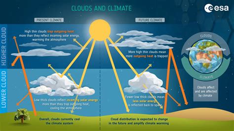 How do clouds influence our daily weather forecasting