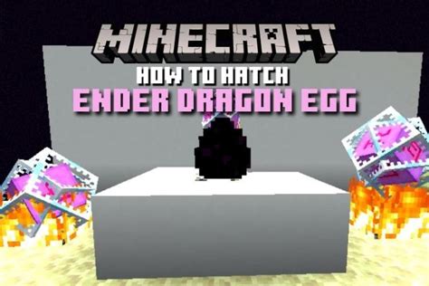 How do dragon eggs hatch in minecraft