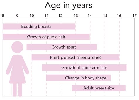 How do girls boobs grow.  Understanding the typical timeline and what affects breast...