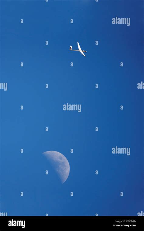How do gliders stay aloft