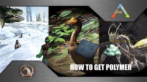 Organic Polymer is a resource in ARK Survival Evolved. Organic Polymer is a natural version of Polymer that you can get from killing Kairuku, Hesperornis, Mantis, Karkinos, and harvesting beehives. You can use it instead of Polymer but it has a spoil timer and can only be stacked up to 20 in comparison to the usual 100 for regular Polymer.. 