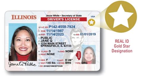 To apply for a REAL ID DL/ID, you will need to visit a Driver Services facility and provide documents verifying your identity, Social Security number, residency and signature. Once you have a REAL ID DL/ID, you will be able to renew by mail or online if you qualify for the Safe Driver Renewal program. 7.