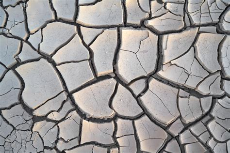 Mud cracks and rain prints. Muddy sediment deposited in shallow water is often exposed long enough during low tides or dry seasons to dry and crack. Under the right conditions, further deposition of sediment fills in and preserves the cracks. When exposed by erosion, fossilized mud cracks may look like a honeycomb of ridges. . 