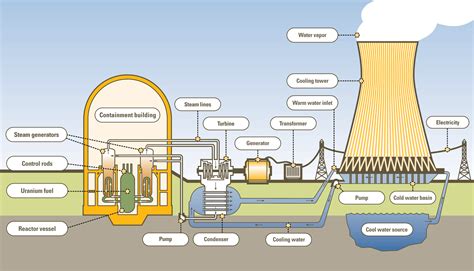 How do nuclear power plants work. A nuclear power plant’s core components are its nuclear reactors. They contain and regulate nuclear chain reactions that release heat through a physical process known as fission. In order to produce electricity, a turbine is spun by the steam produced by that heat. At nuclear power plants, three mutual energy form conversions take place ... 