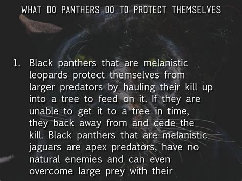 How do panthers protect themselves? - whatansweris.com