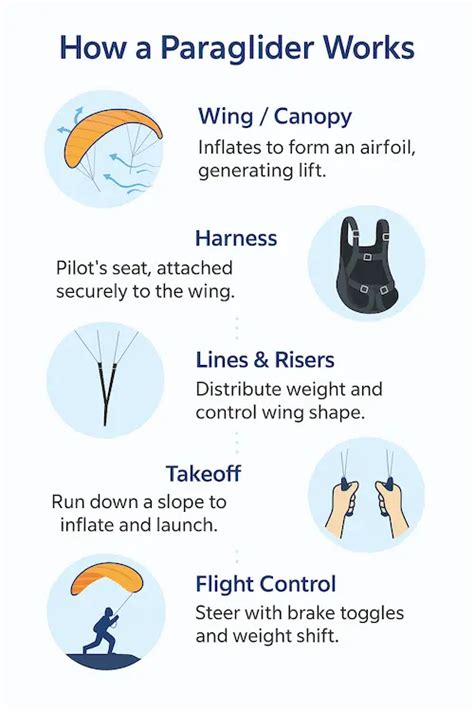 How do paragliders gain altitude