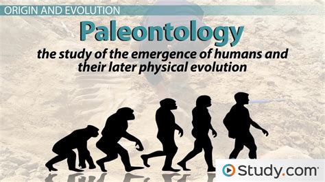 How do physical anthropology study evolution? [Answered!]