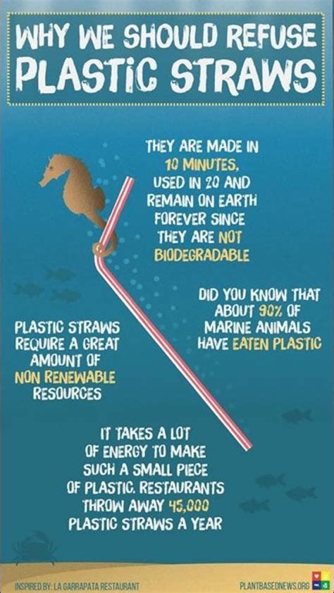 How do plastic straws affect the environment. Plastic drinking straws are not commonly recycled or re- used, causing multiple environmental harms particularly when they are discarded incorrectly, including harm to marine animals and visual pollution. Even if disposed of correctly, plastic straws may end up in incineration, generating high carbon emissions. These 