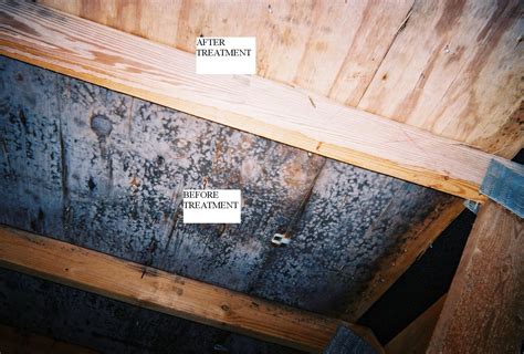 How do u get rid of mold in basement. Identify the Problem. T hat smell is likely from mold or mildew, caused by moisture. The first thing you’ll need to do is find said moisture. Moisture issues can range … 