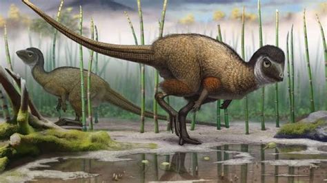 How do we know dinosaurs didn’t have fur? : r/TooAfraidToAsk