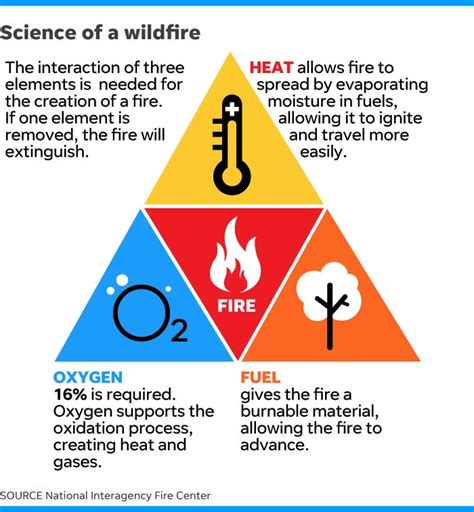 How do wildfires begin. 