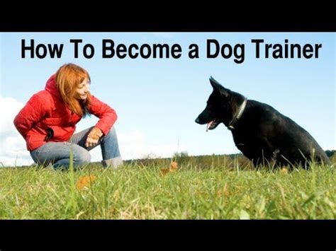 How do you become a dog trainer. Things To Know About How do you become a dog trainer. 