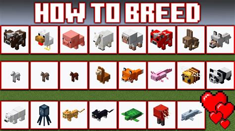 How do you breed in minecraft