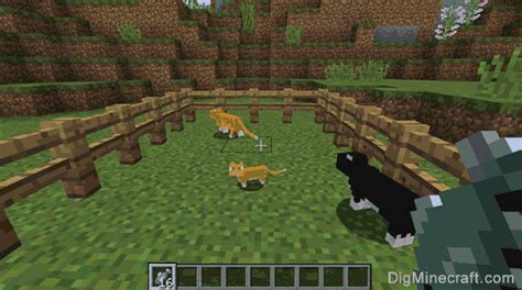 How do you breed ocelots in minecraft