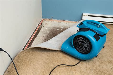 How do you clean mold out of carpet. Keep your carpet cleaner ready with you because you will need a deep cleaning method to blast out the chlorine dioxide with molds. Method 5: Use A Steam Cleaner Carpet cleaning professionals mostly suggest steam cleaning methods for mold eradication because a steam cleaner can kill persistent mold … 