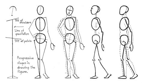 How do you draw people. Look for natural curves from the head to the torso, or from the pelvis to the feet. You can follow these lines with curves shaped like a C or an S. Proko gesture drawing. However you can still end up with very stiff gestures and this technique won’t save you from that. But it’ll help you see the movement in every pose. 