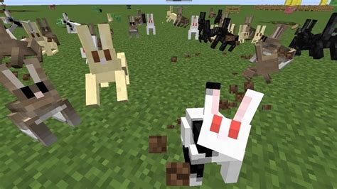 How do you feel about rabbit meat? - Minecraft Forum