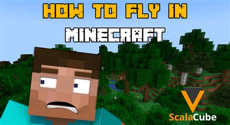 How do you fly down in minecraft
