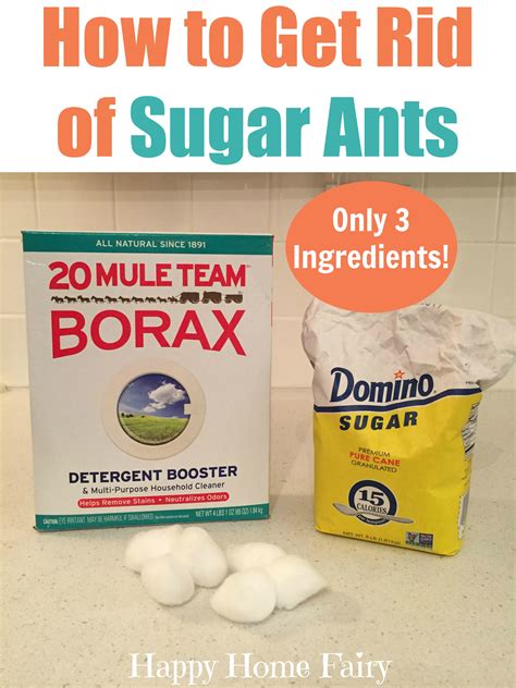How do you get rid of sugar ants. Fill a plastic spray bottle with 1 capful of liquid hand soap and water. Shake the bottle to let the soap and water mix together. Then spray the mixture on ants whenever you see them in your kitchen. Wait about 5 minutes to wipe up, because ants are a lot easier to clean off your counters once they stop moving. 
