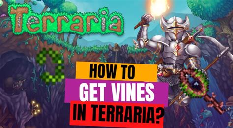 How do you get vines in terraria. Things To Know About How do you get vines in terraria. 