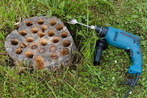 How do you kill a tree stump. Make the hole large enough that you'll be able to pack it with salt, at least 1 inch in diameter. Drill additional holes every few inches around the stump; the larger the stump is, the more holes it should have. Pack the holes with rock salt, getting as much of the salt into them as you can. If you are not concerned about … 