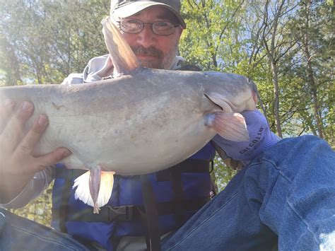 How do you make chum? Catfish Angler Forum at USCA