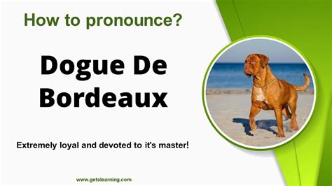 How do you pronounce Dogue de Bordeaux? - Answers