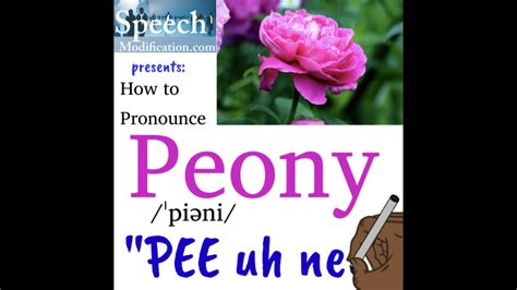 How do you pronounce peony? - Answers