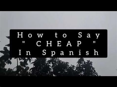 How do you say cheap in spanish. Answer to: How to say a little bit in Spanish By signing up, you&#039;ll get thousands of step-by-step solutions to your homework questions. You can... 