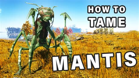 How do you tame a mantis in ark. How to Tame a Mantis: 1. Absolutely obliterate some Deathworms because you’re a gigachad and don’t feel fear..or you can kill some Woolly Rhinos, that works … 
