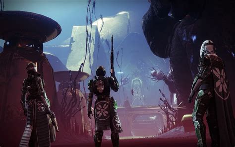 How does Shared Wisdom work in Destiny 2 