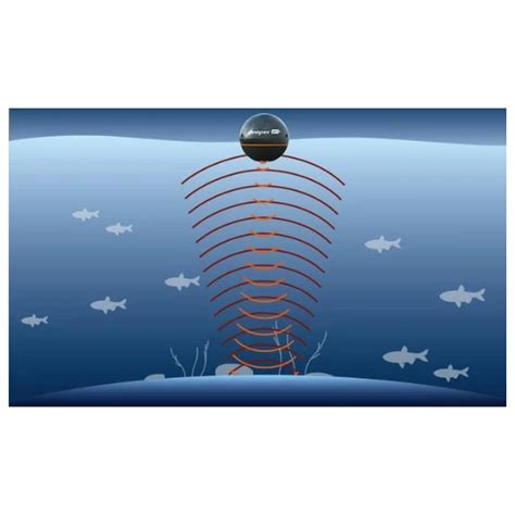 How does Sonar work Sonar Basics FU…