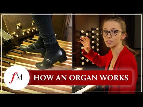 How does a pipe organ actually work? Anna Lapwood Classic FM