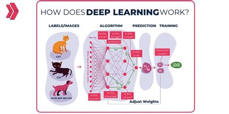 How does deep learning work.  Learn more about deep learning.  Feb 7, 2026 ...