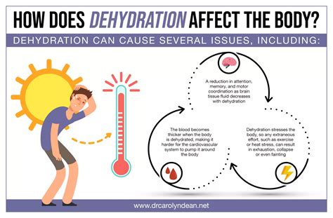 How does dehydration affect pilots