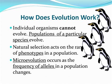 How does evolution work. Evolution: the change of a species over time (gene frequency) What is the primary way evolution works? Through the action of natural selection, which is populations adaptations to their environment changes. What is biologist Chris Snyder studying in Ecuador? To study the evolution of several animal species. 