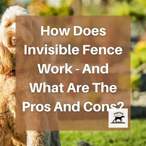 How does invisible fence work. Customizable sound, vibration, or static feedback from the collar alerts dogs to turn around when they approach a fence boundary. 
