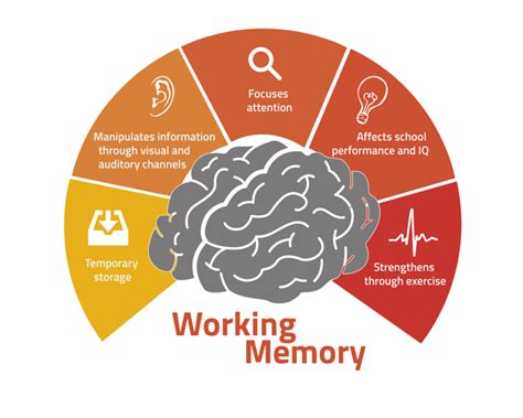 How does memory work. Exercising your brain is just as important as exercising your body. A healthy brain can improve memory, focus, creativity, and overall cognitive function. Here are some effective w... 