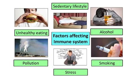 How does our lifestyle impact immunity? - YouTube