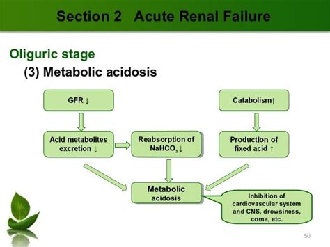 How does renal failure cause metabolic acidosis? - Studybuff