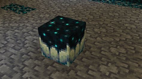How does sculk catalyst work in Minecraft The Wild Update 