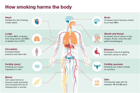 How does smoking affect your weight? - spunout