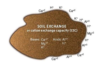 How does soil science relate to chemistry? [Ultimate Guide!]