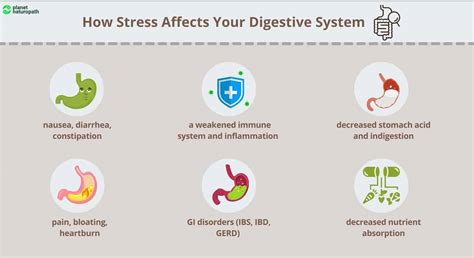 How does stress affect the stomach