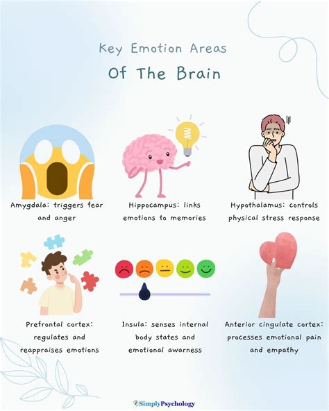How does the brain process emotions