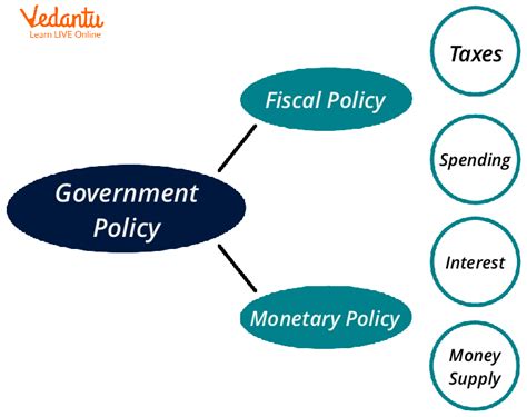 How does the government policies affect the demand of a …